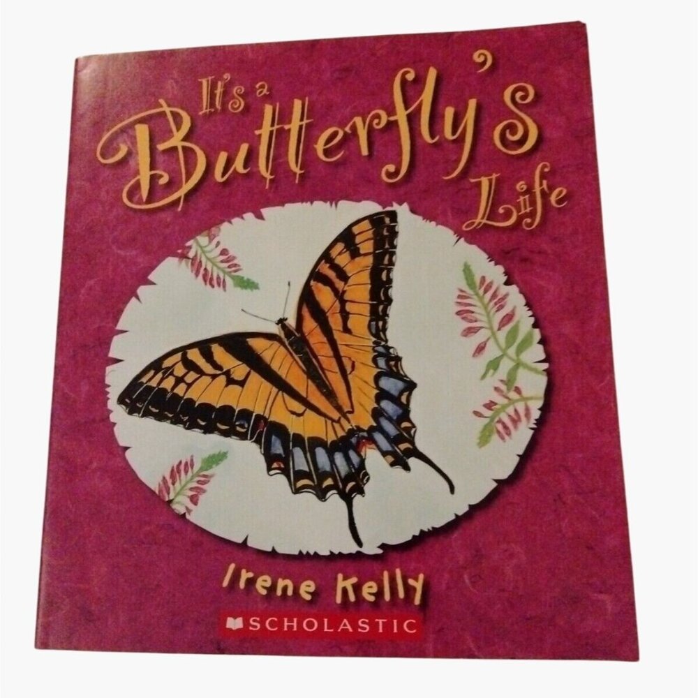 Its A Butterflys Life Irene Kelly Paperback Childrens Book